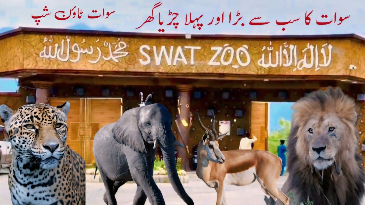 Swat zoo Kanju Town Ship || swat zoo vlog || Swat Zoo || swat zoo new video 2024