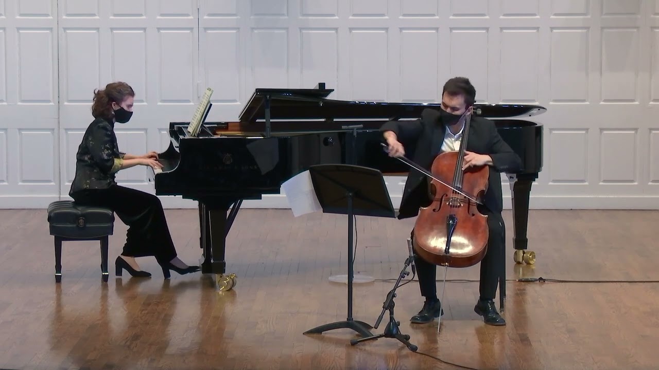 Franz Schubert: Sonata for arpeggione and piano in A minor D 821, 1st movement