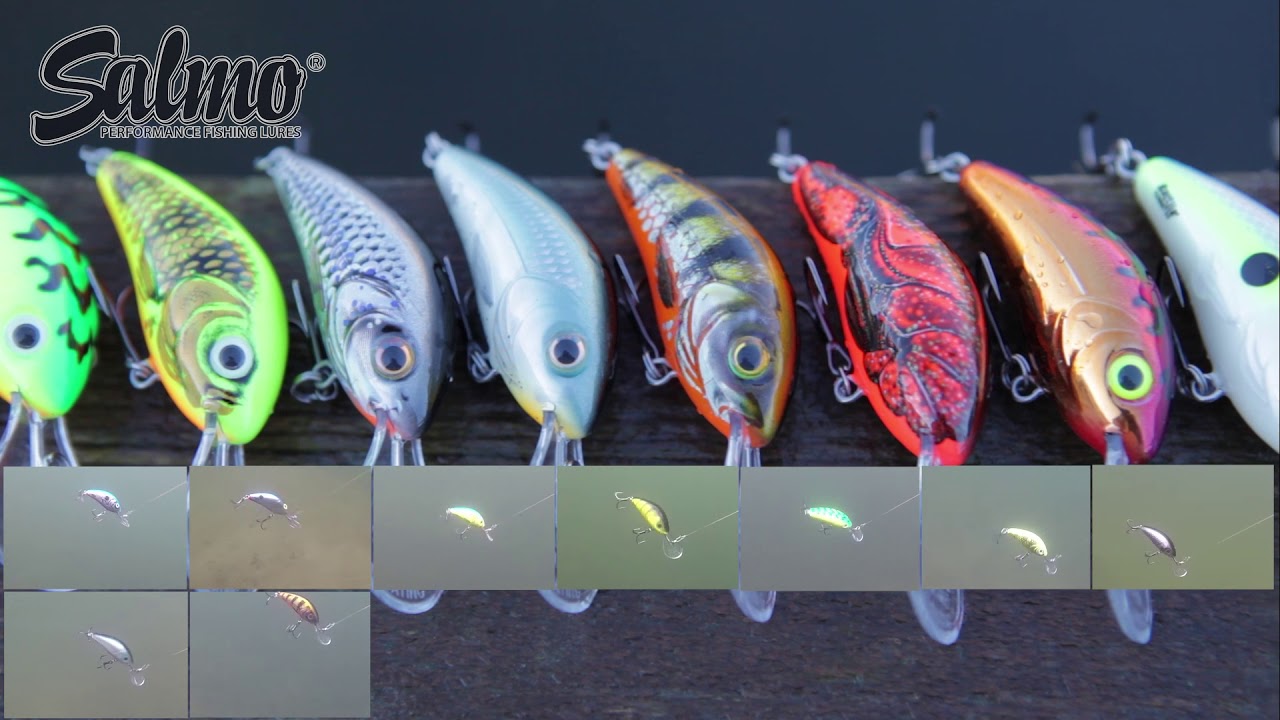 Rattlin Hornet 5,5 - nowość Salmo w sezonie 2018
