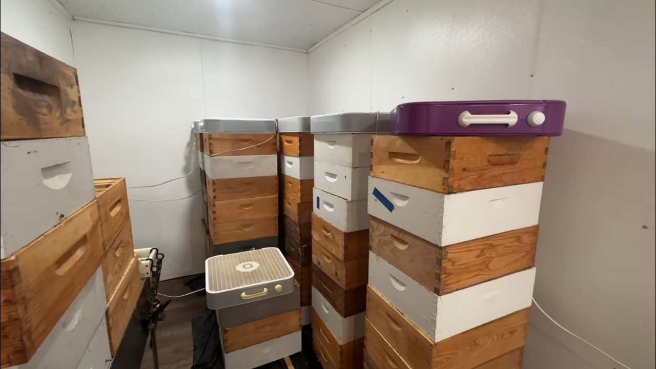 Pulling Honey - (Building a Bee Business #58)