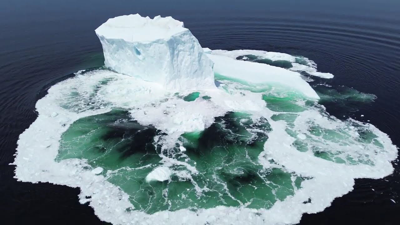 Iceberg Rapid Unscheduled Disassemly. Twillingate, NL. 04 June 25.
