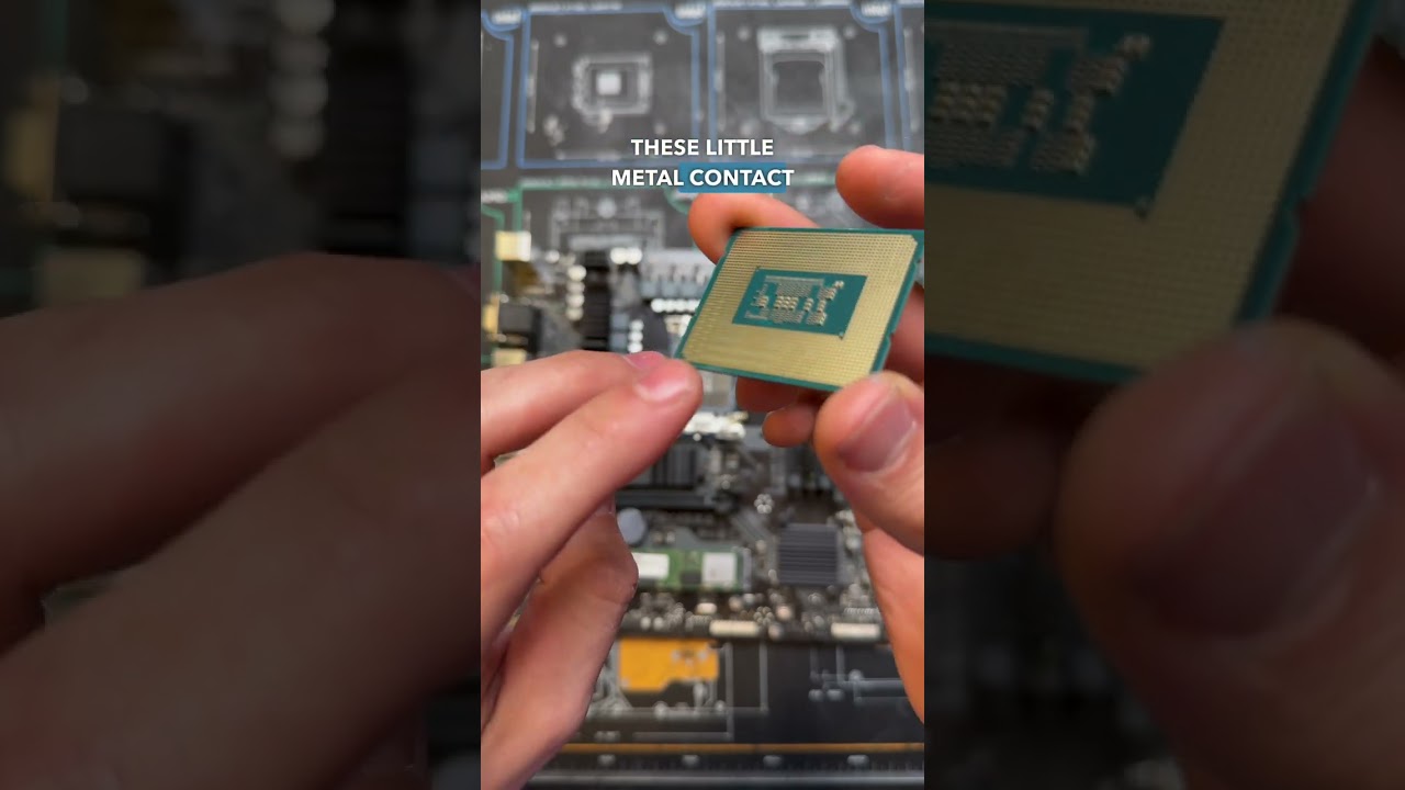LGA VS PGA #pc #pcbuild #gamingcomputer #gamingpc