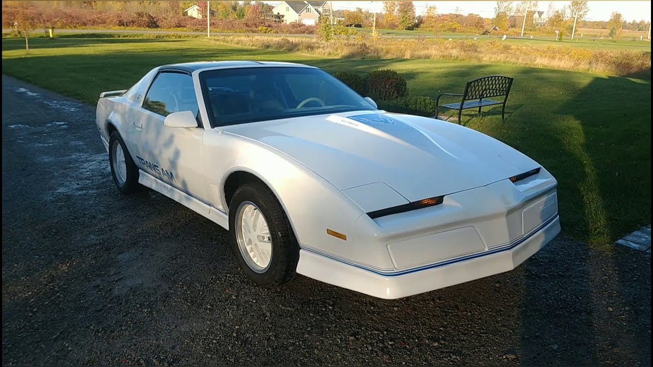1984 15th Anniversary Trans Am update and walk around (getting ready for winter)