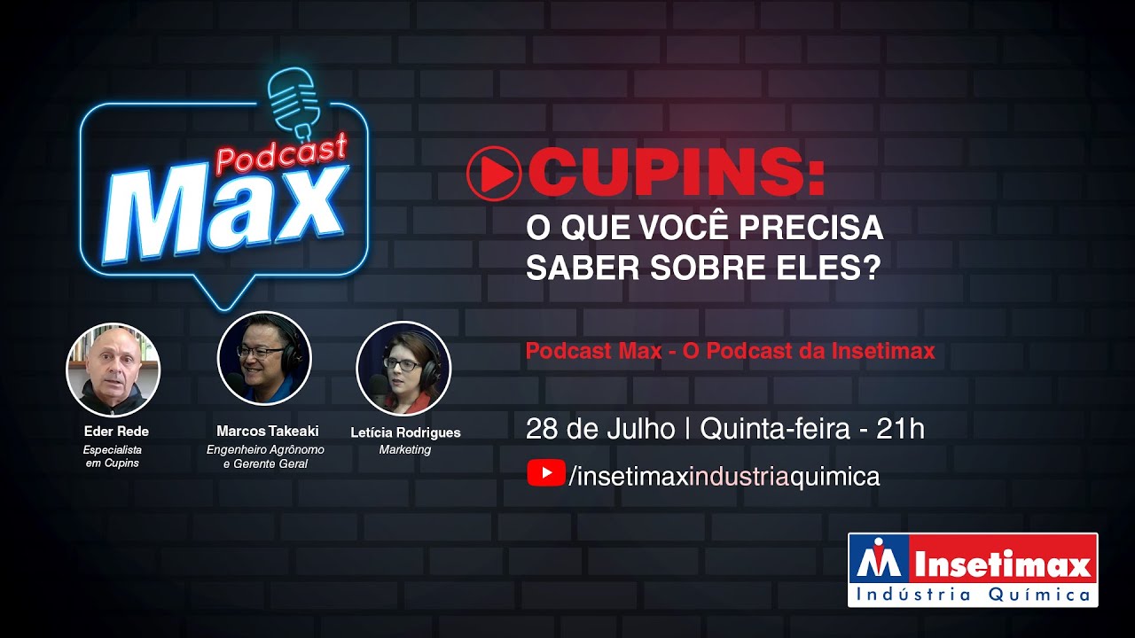 CUPINS: O QUE VOCÊ PRECISA SABER SOBRE ELES?