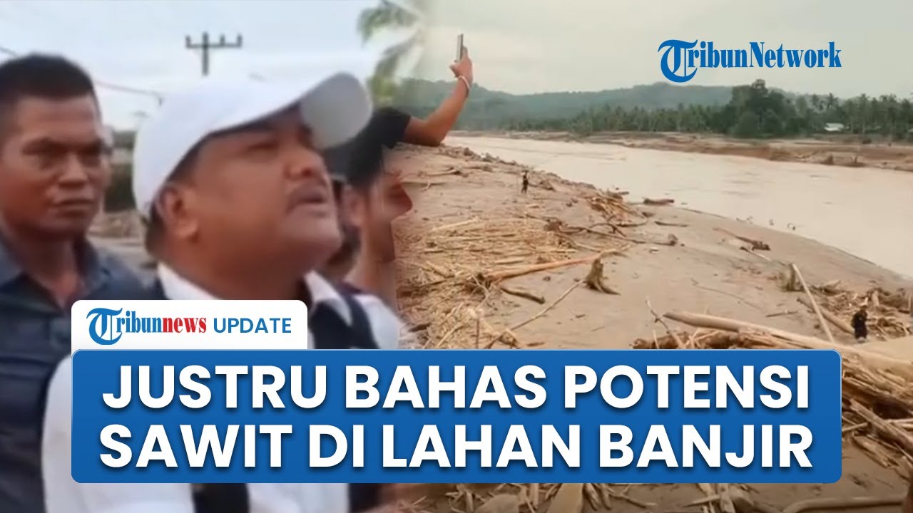 Viral Bupati Bireuen Aceh Sebut 