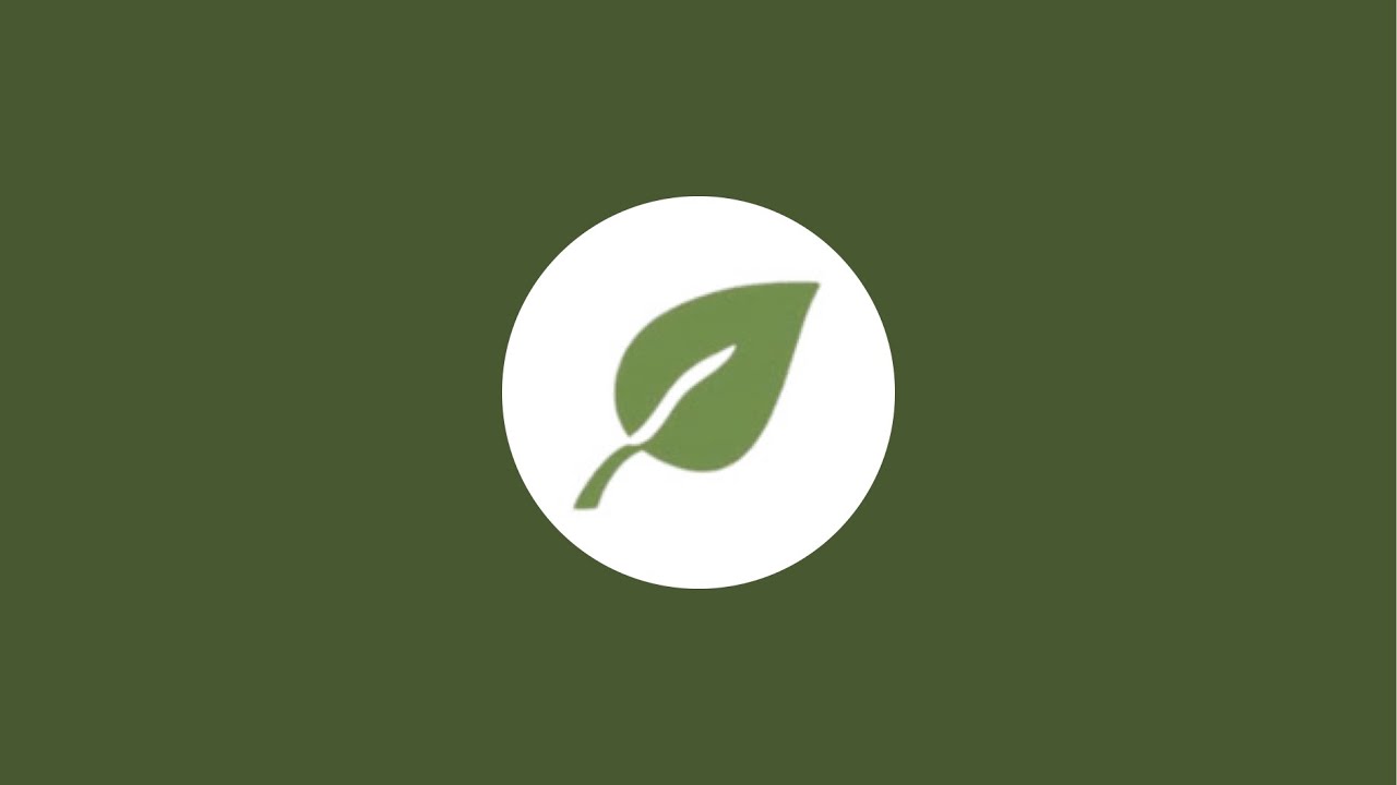 Re-Ignite Wednesday Bible Study - Study of the book of Ephesians - Chapter 4 (Part 1)