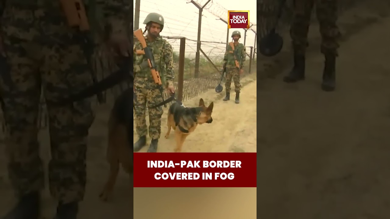 #densefog Covers India-Pakistan Border in Samba, #jammukashmir