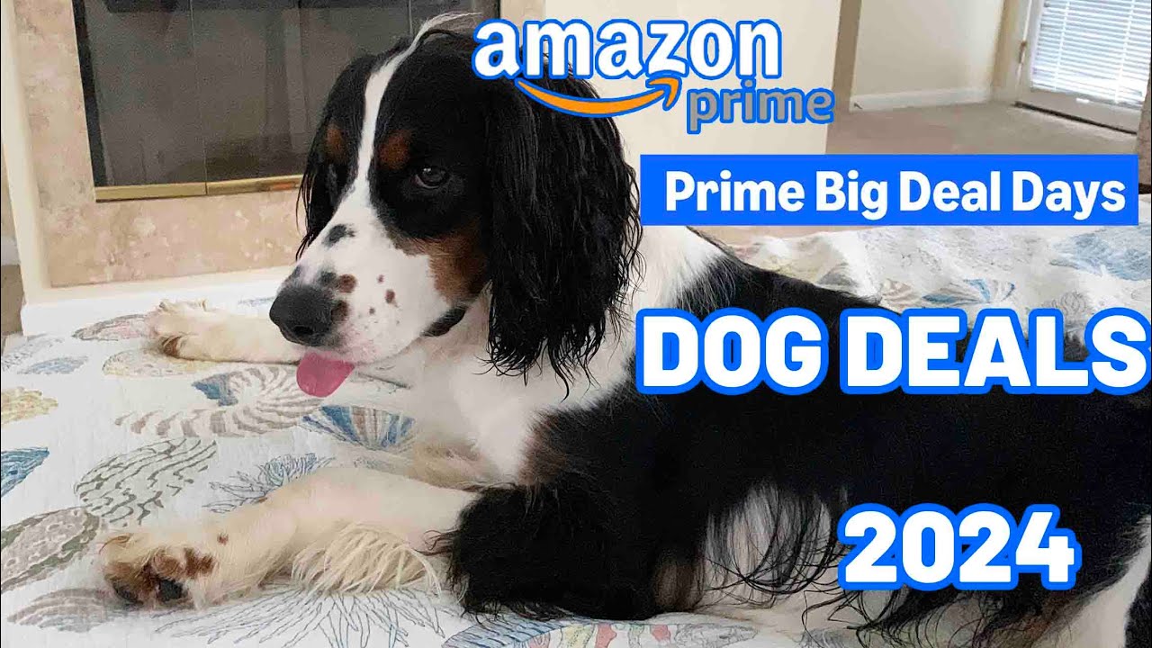 Best Deals For Dog Parents On Amazon Prime Big Deal Days 2024