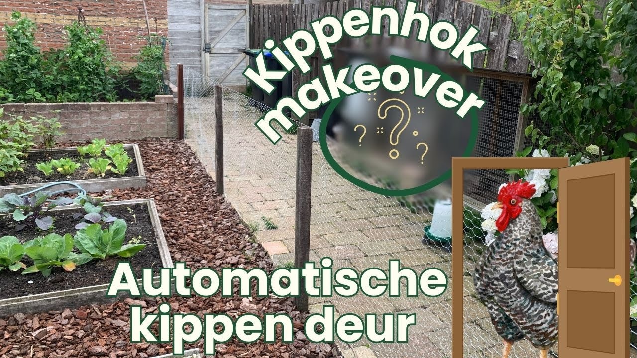 Kippenhok makeover | Elektrische deurtjes | Kippen in een rijtjeshuis