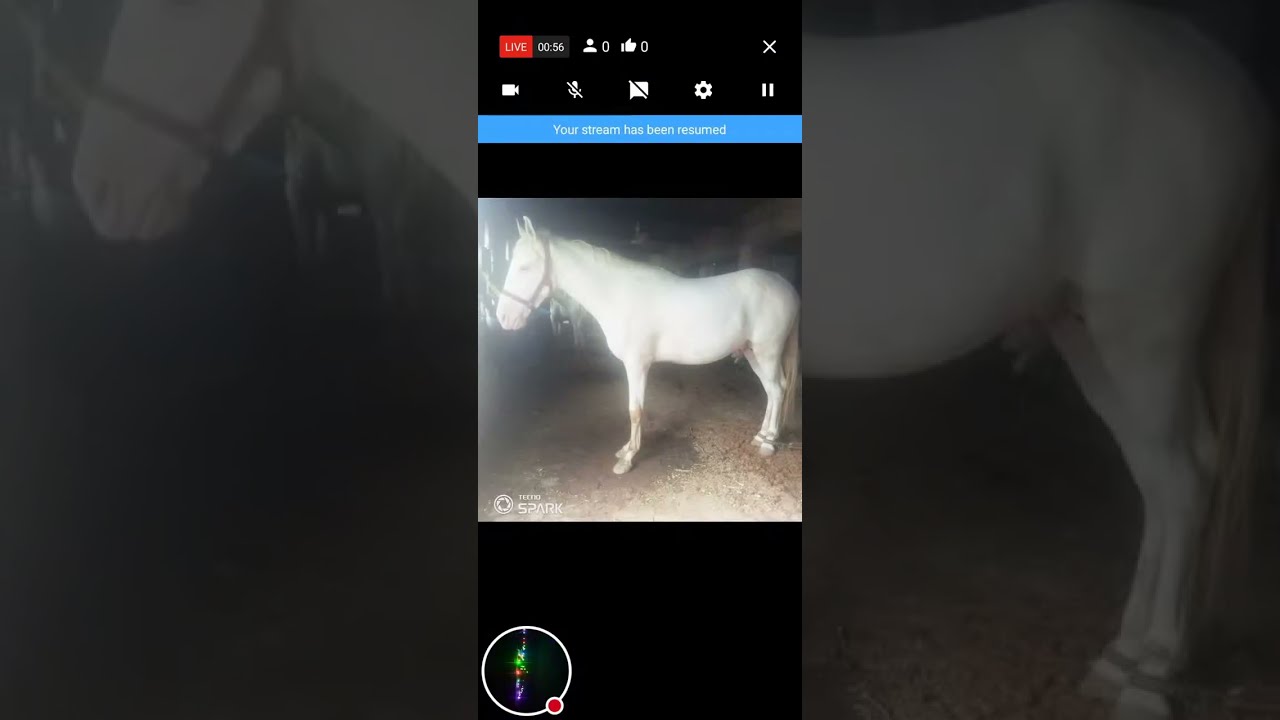 Nature and Zee 01 is live!