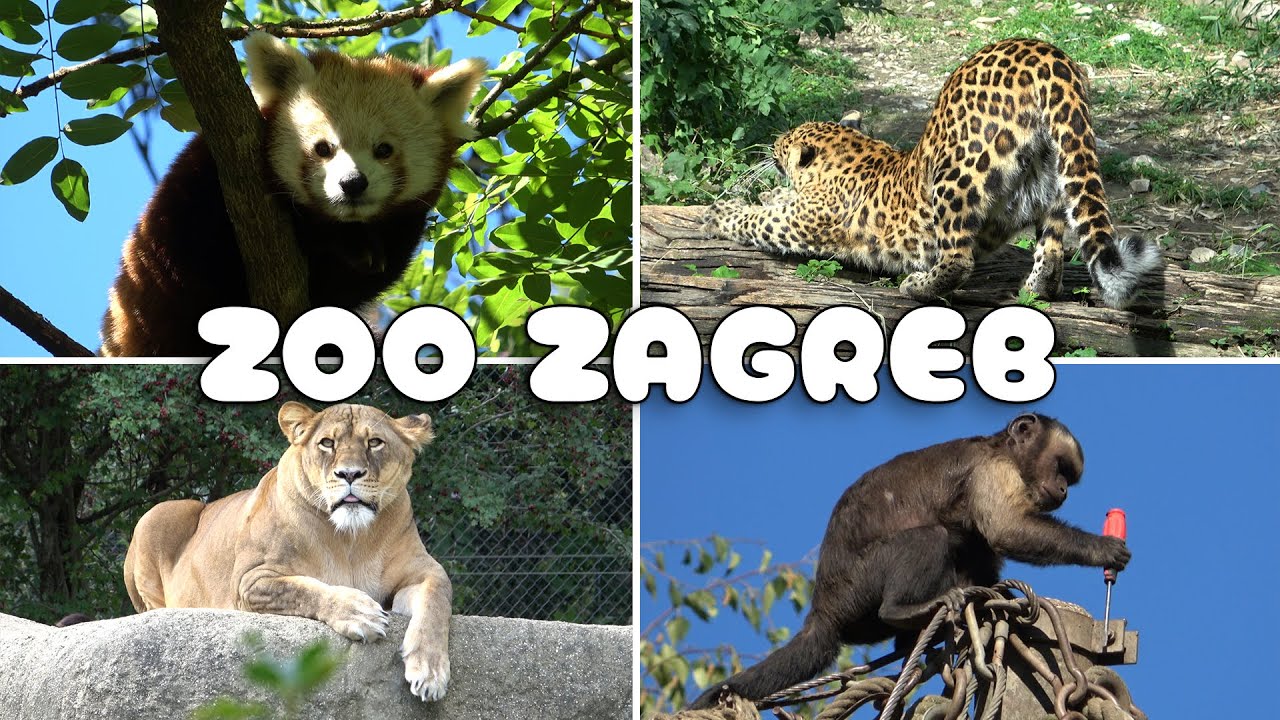 Zoo Zagreb, Croatia / Zoološki vrt Grada Zagreba