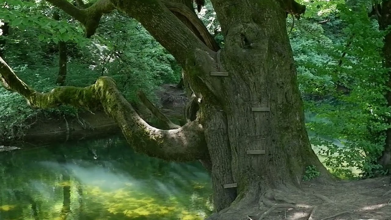 slovenia luglio 2025