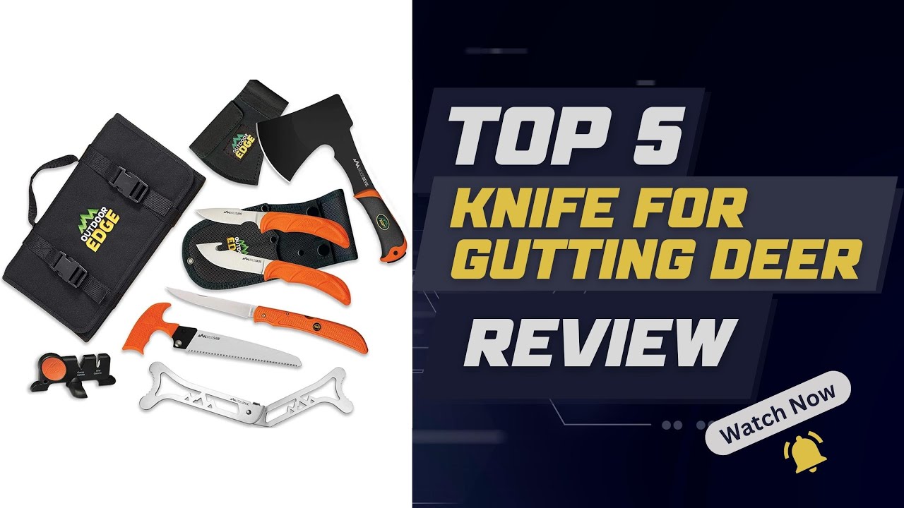 5 Best Knife for Gutting Deer Review: Brace Yourselves | Prepare to Be Impressed!
