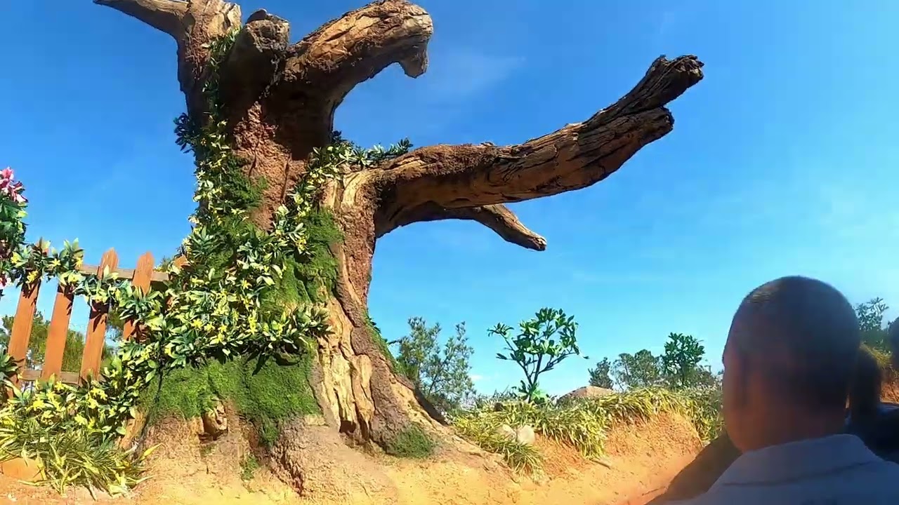 [POV] Tiana's Bayou Adventure - Magic Kingdom