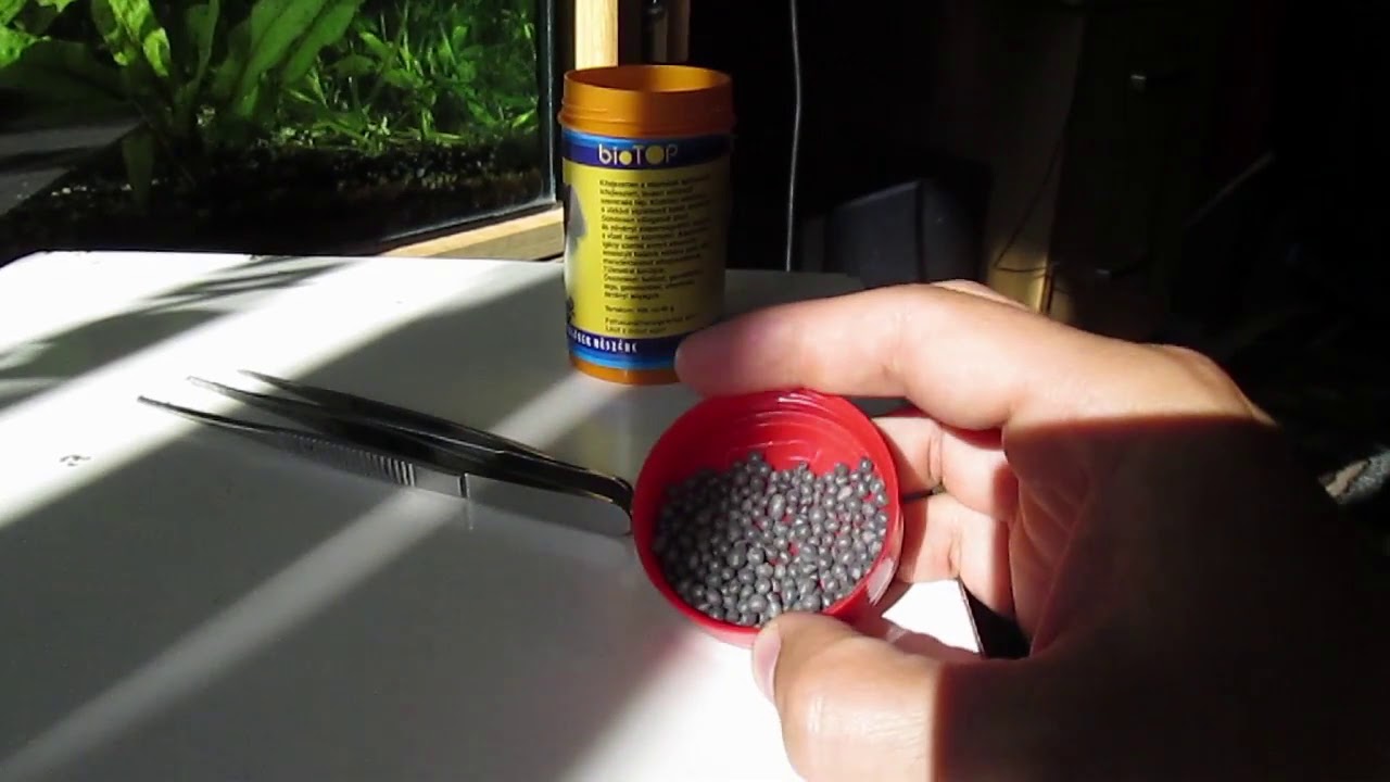 166 Implant granule de sol fertil