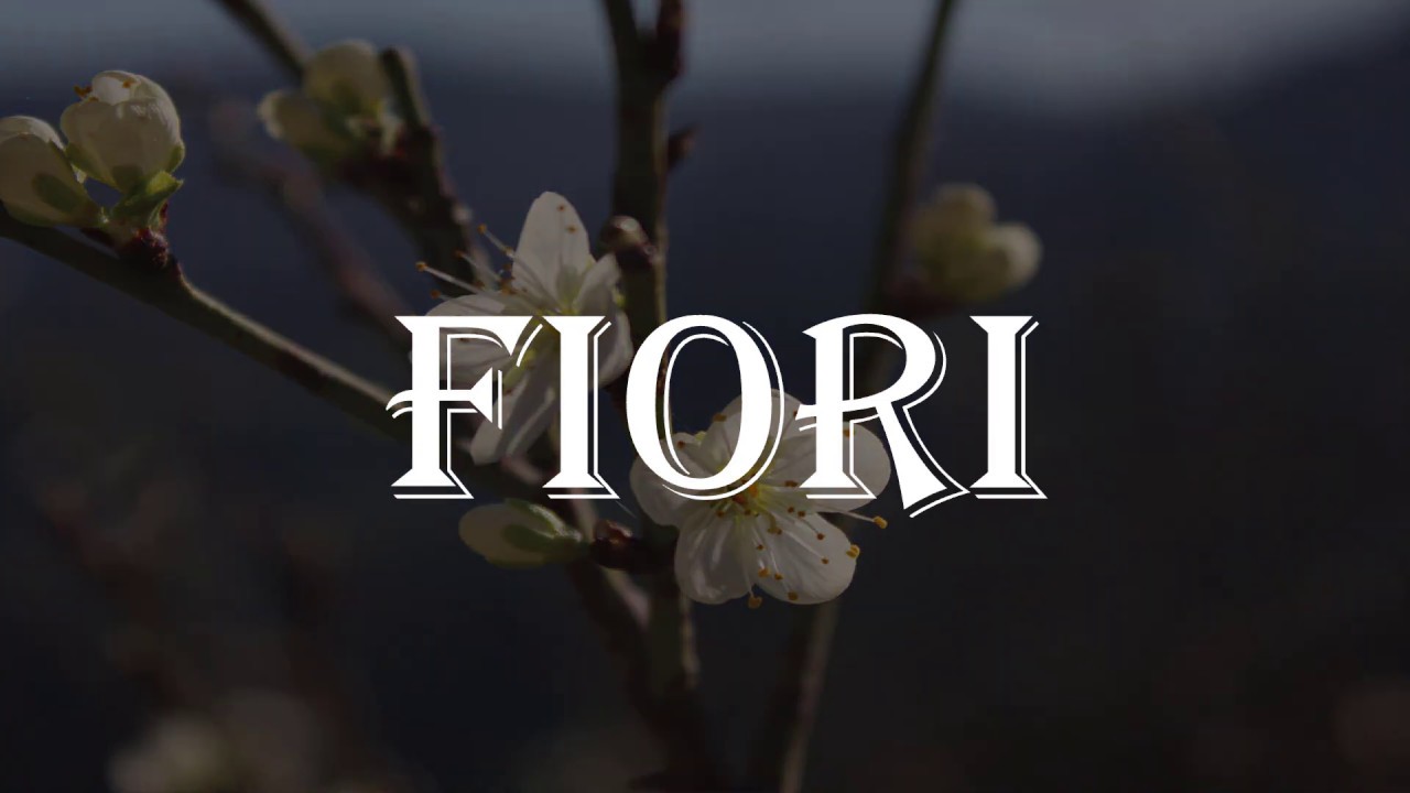 Foto Fiori