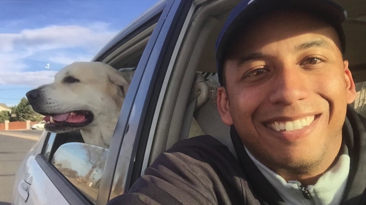 Colorado's Best Dog Trainers | Meet 'Henry' - A 6-year old Great Pyrenees / Anatolian Shepherd Mix