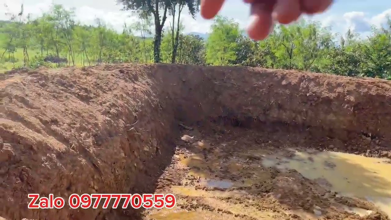 5ha đất trồng phun cafe . Điện nước đầy đủ. Chủ nhà đang cần bán gấp 