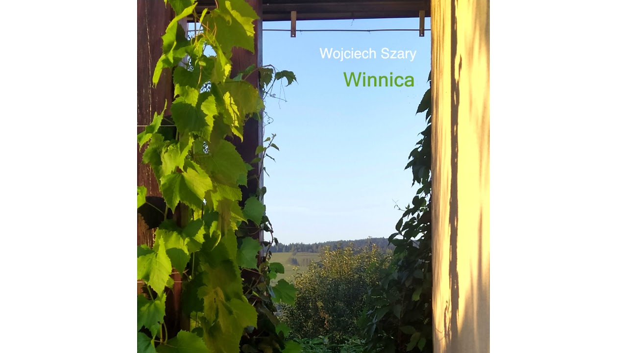 Wojciech Szary: Winnica (2021)