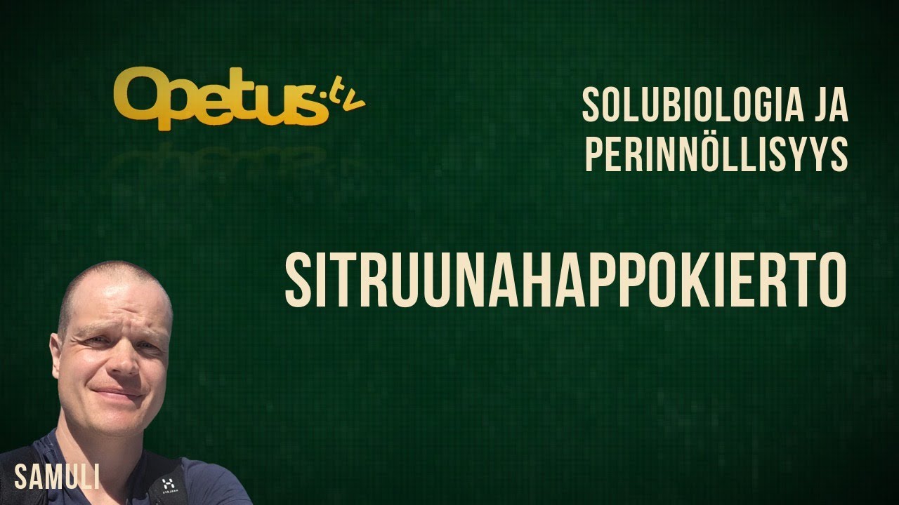Sitruunahappokierto