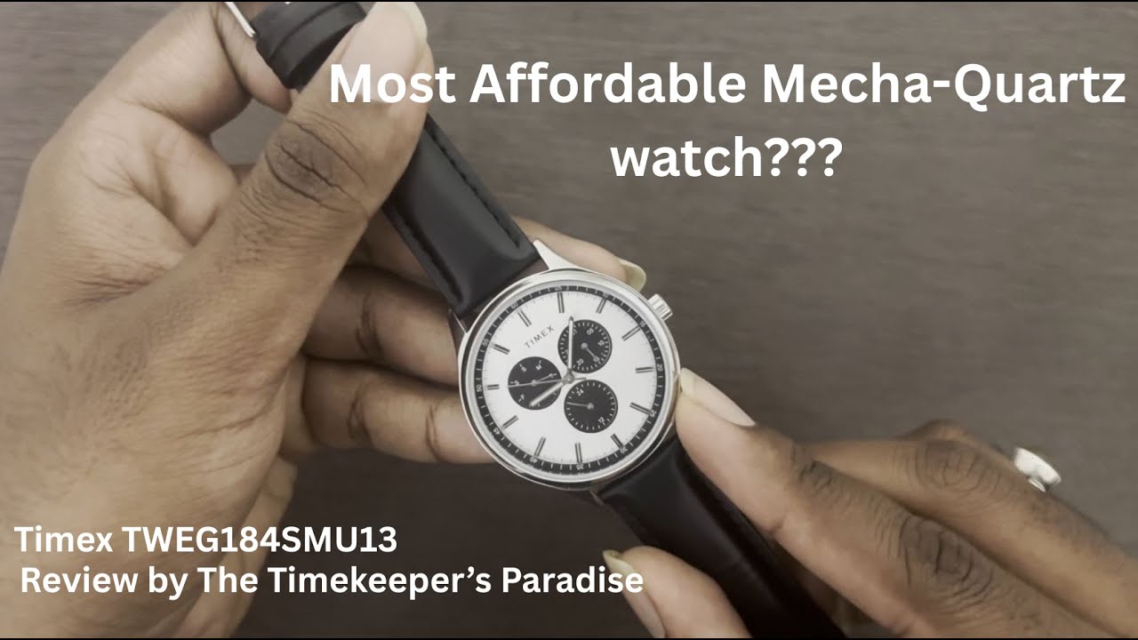 Most Affordable Panda Dial Mecha-Quartz watch from Timex?????