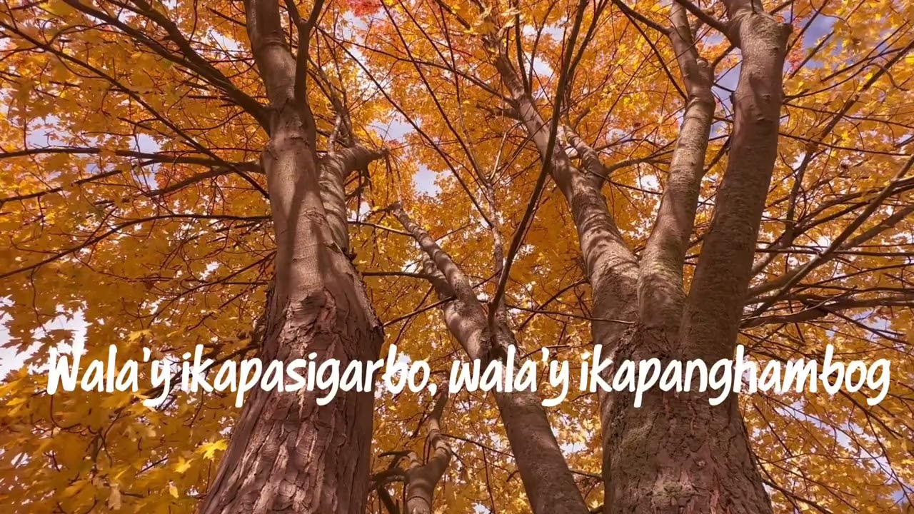 Ikaw ang Tag-iya - Roel Albino Torres