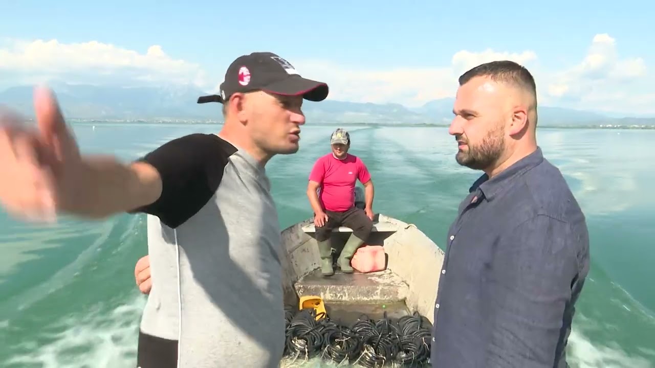 Tava shkodrane e krapit (Speciale)
