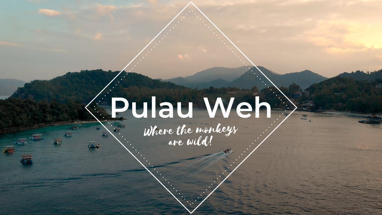 Pulau Weh - Where The Monkeys Are Wild - Indonesia