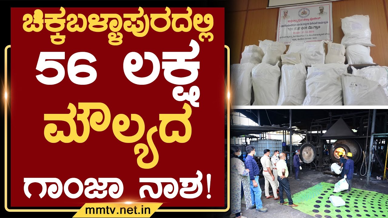 ಚಿಕ್ಕಬಳ್ಳಾಪುರದಲ್ಲಿ 56 ಲಕ್ಷ ಮೌಲ್ಯದ ಗಾಂಜಾ ನಾಶ ! | ಚಿಕ್ಕಬಳ್ಳಾಪುರ @MMTV-News 30-10-2025