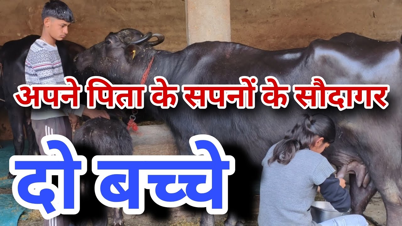 Motivational Video पिता का एक्सिडेंट हुआ तो 9 और 11 साल की उम्र से पशुओं और खेतों में काम करते हैं।