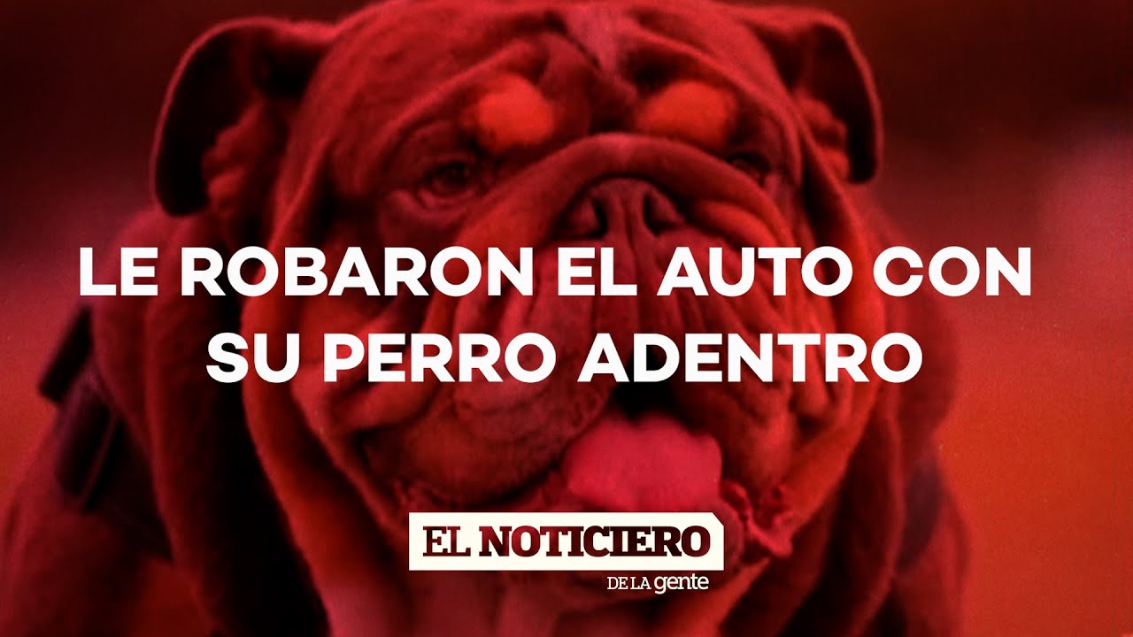 ROBARON el AUTO con su PERRO ADENTRO y toda su FAMILIA lo está BUSCANDO #ElNotidelaGente