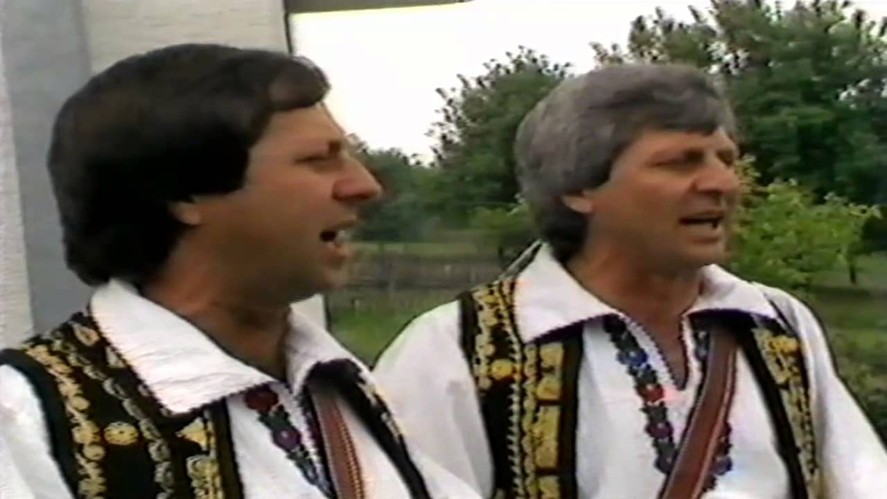 BRAĆA GELJIĆ    Ne ašikuj Ivo  by Zvonko PLEHAN