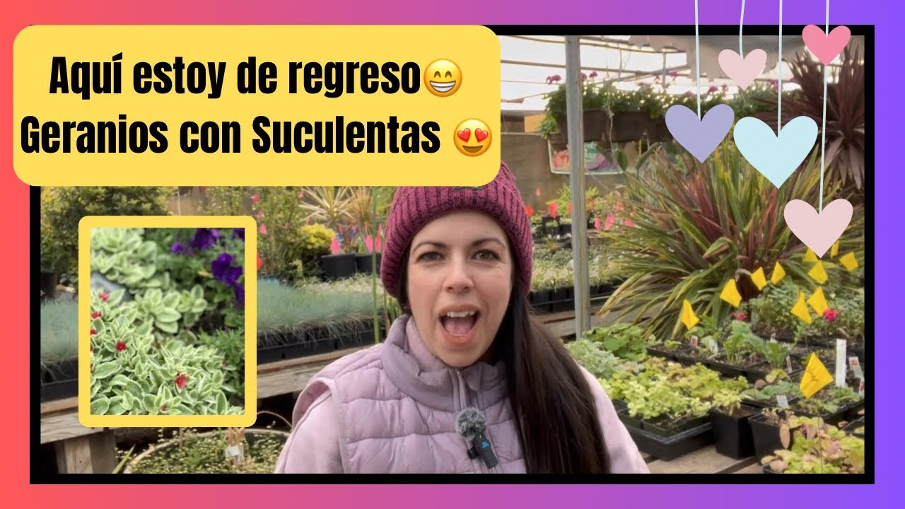 Aqui estoy de regreso!!!! Haciendo Jardineria! Geranios Colgantes! Con sucuculentas 😍🪴