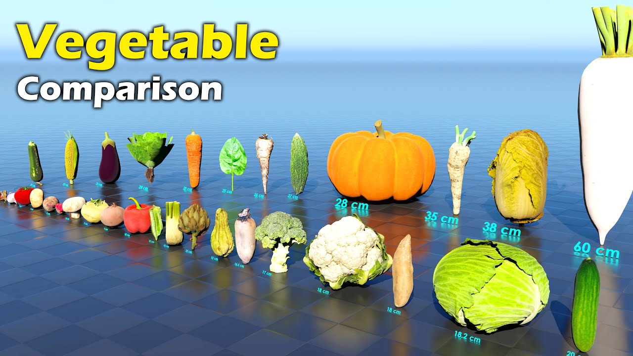 Vegetable Size Comparison