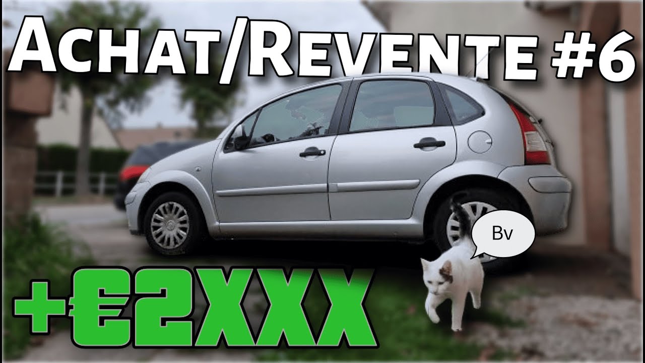 Mon plus gros BENEFICE ?! (ACHAT/REVENTE AUTO #6) 3/3