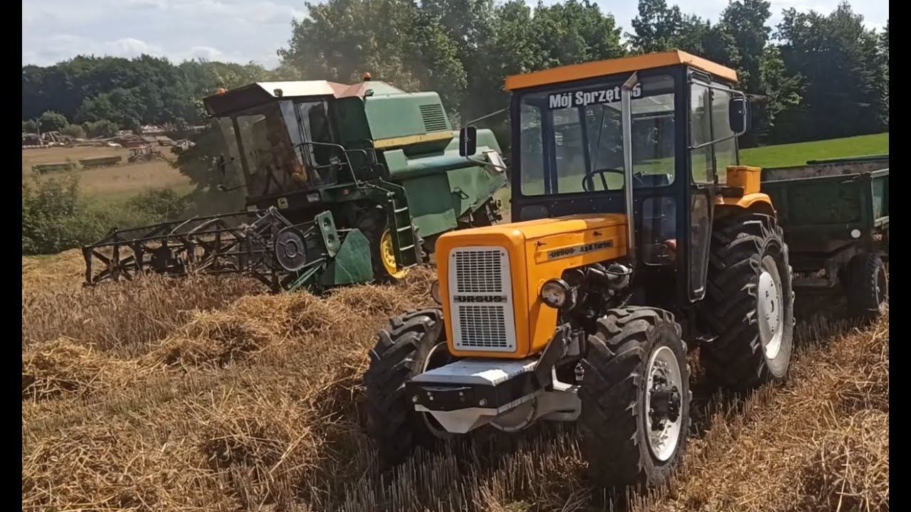 Żniwa 2021 John deere 965h  Ursus c360 4x4 turbo.