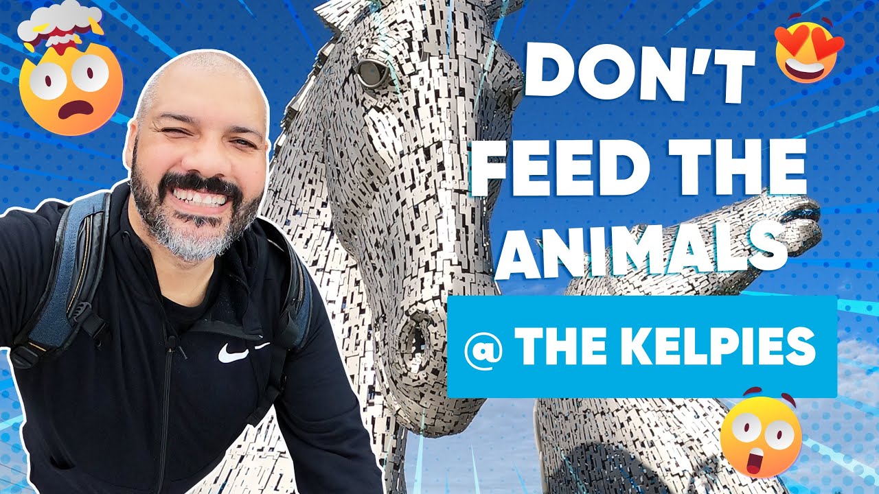 From Swamp to Wonderland: Helix Park, Kelpies & Falkirk Wheel Transformation!✨