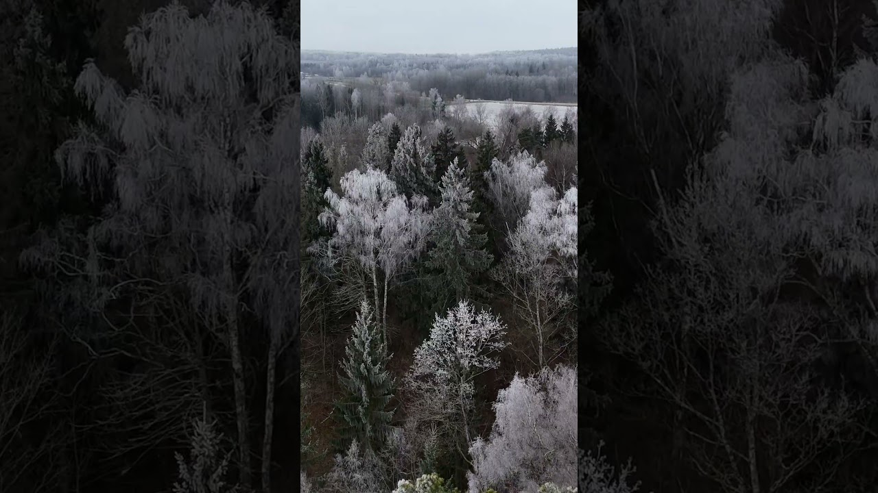 Latvian Winter mood 