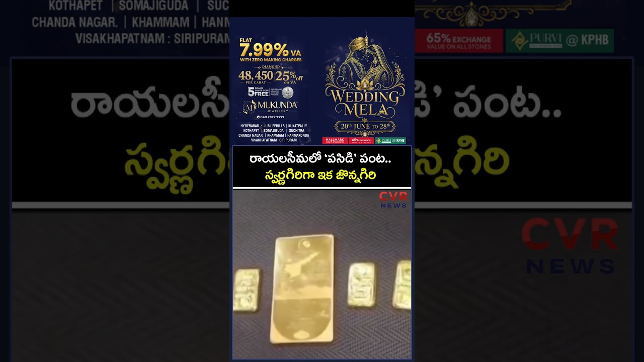 రాయలసీమలో &lsquo;పసిడి&rsquo; పంట స్వర్ణగిరిగా ఇక జొన్నగిరి | Jonnagiri Gold Mine | CVR NEWS