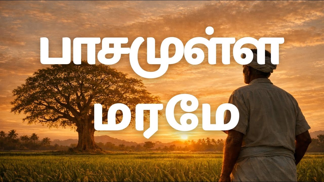 பாசமுள்ள மரமே | Tamil Emotional Nature Song | Murugapandiyan K | Tree Love Song | #fmfshorts