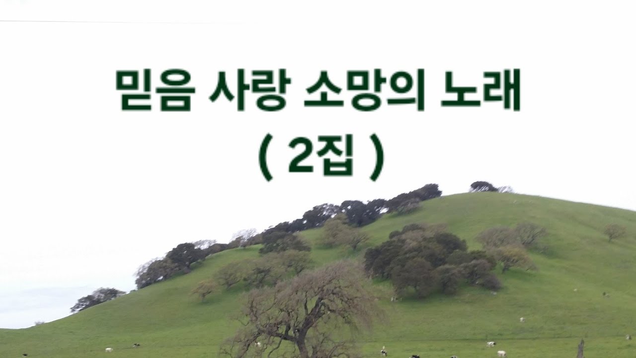 믿음 사랑 소망의 노래 ( 2집 )