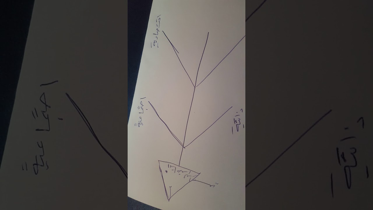 شرح نموذج ايشيكاوا (هيكل السمكة )4