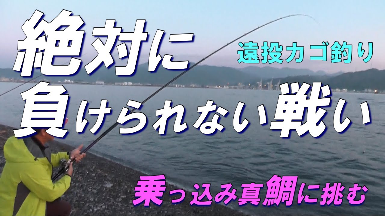 【遠投カゴ釣り】　絶対に負けられない戦い　乗っ込み真鯛に挑む