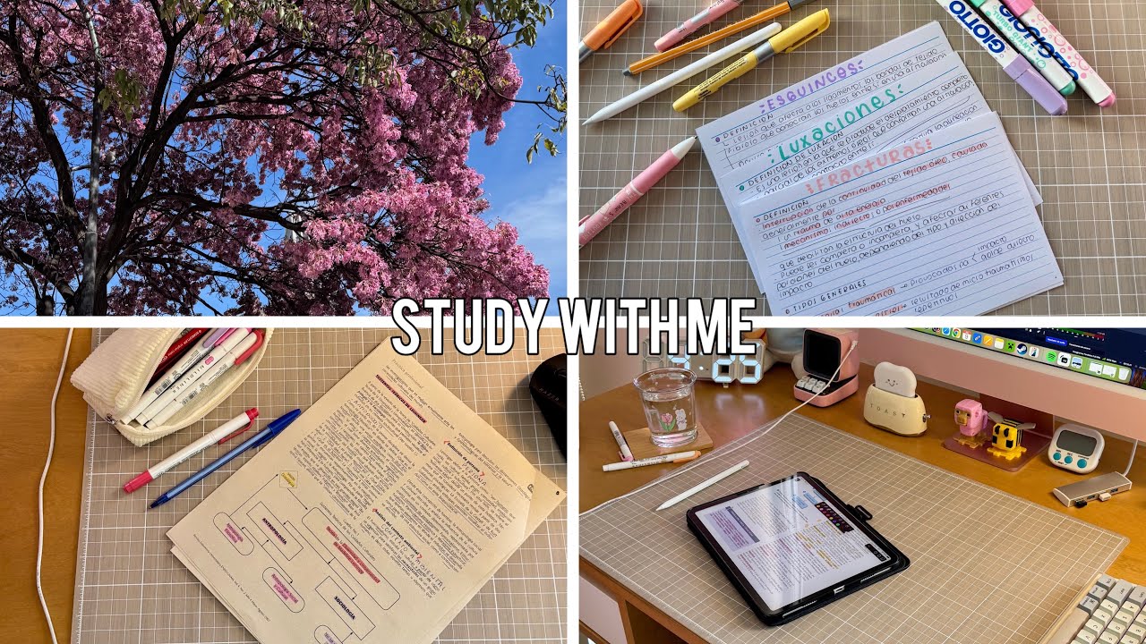 ₊˚✧ . ˚ 2 hr | 50/10 | STUDY/WORK WITH ME | fireplace sounds + calm piano ₊˚✧ . ˚