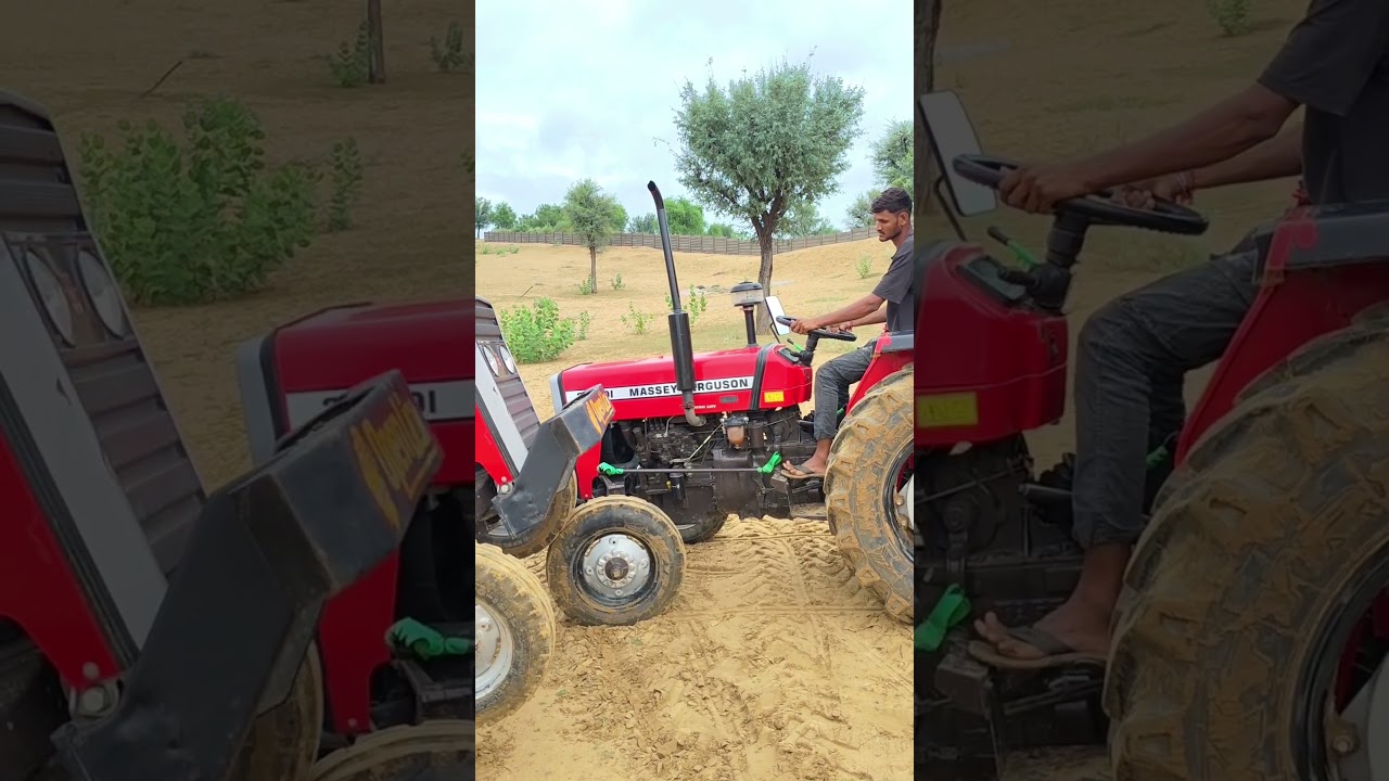 rajasthan and open lion 🦁 #openlion #rajasthan #reels #modified #farming