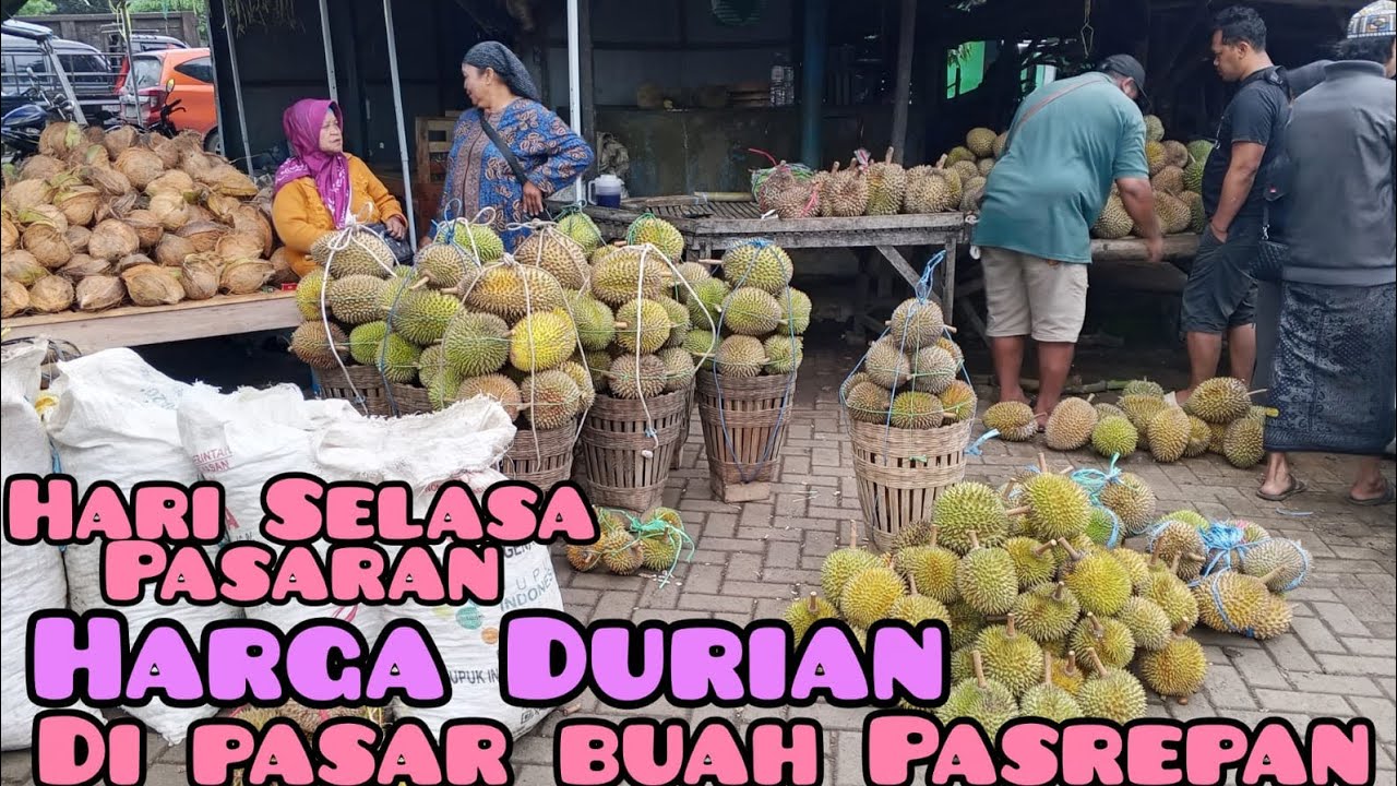 PASAR DURIAN di pasar buah Pasrepan kabupaten Pasuruan Jawa Timur 