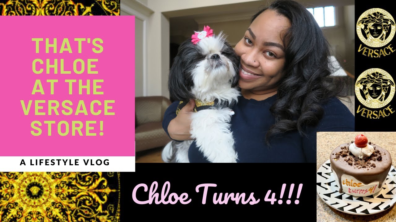 VLOG #10 Chloe's 4th birthday Party 🥳⎮VERSACE DOG MODEL GOES OUT ON THE TOWN!