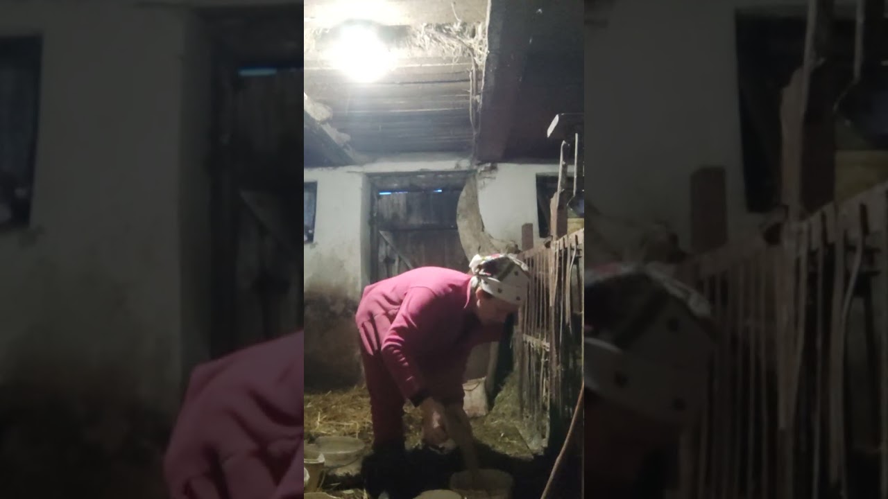Відповідаю чи планую продавати кози і козенят 