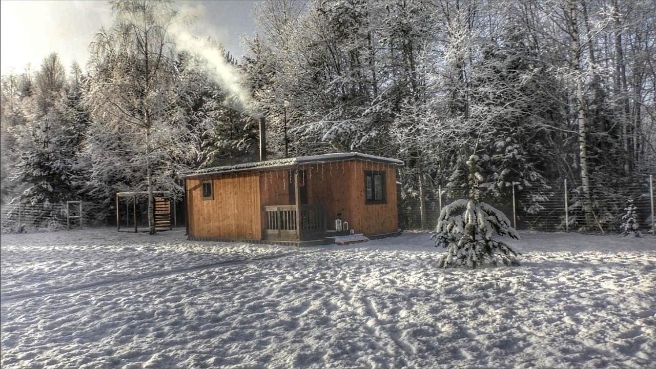 First Snow At Our Off Grid Cabin: A Fox Came to Visit.