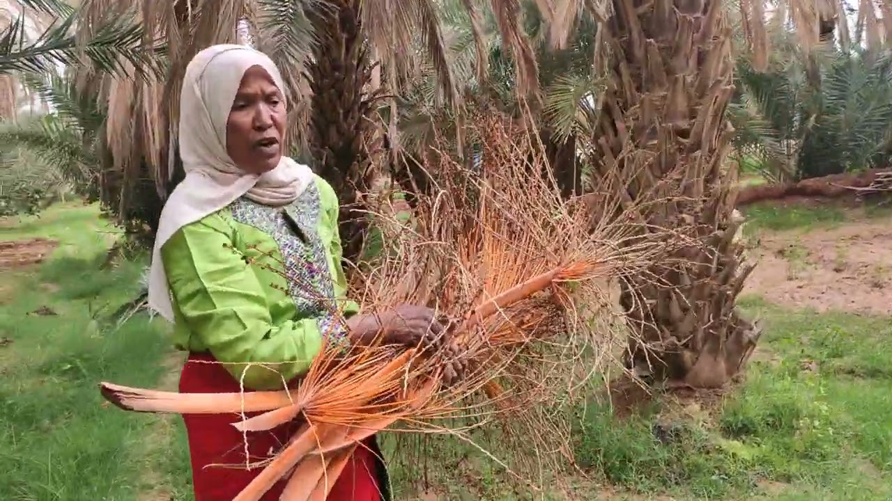 جولة جميلة في غابة تنجداد مع رابحة